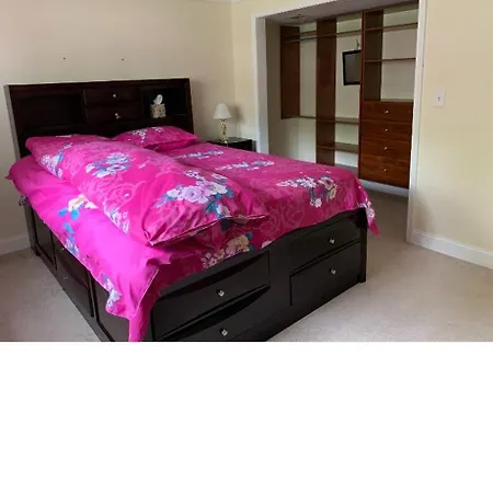 大卧室1.8米宽大床 Appartement